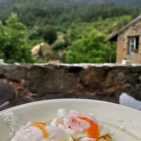 Madari Hills Health Retreat Nyaraló
