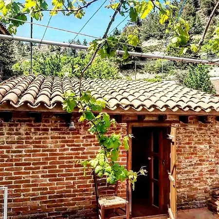 Madari Hills Health Retreat 펜션 니코시아