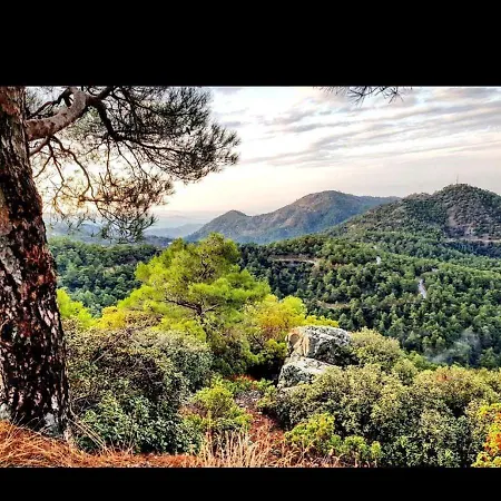 Madari Hills Health Retreat 펜션 니코시아