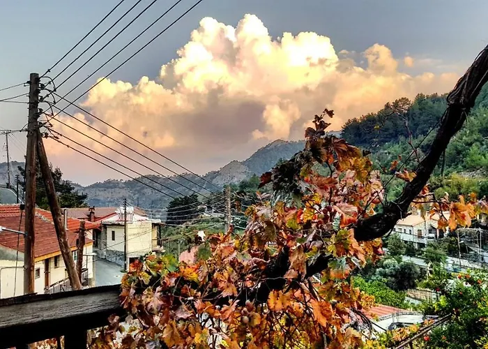 Madari Hills Health Retreat Hébergement de vacances Nicosie