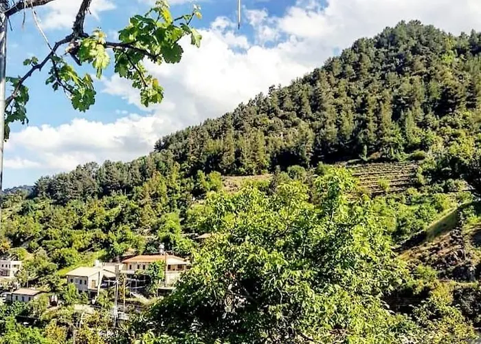 Madari Hills Health Retreat Nicosie