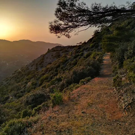 Madari Hills Health Retreat * Нікосія