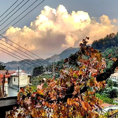 Madari Hills Health Retreat Будинок відпочинку Нікосія